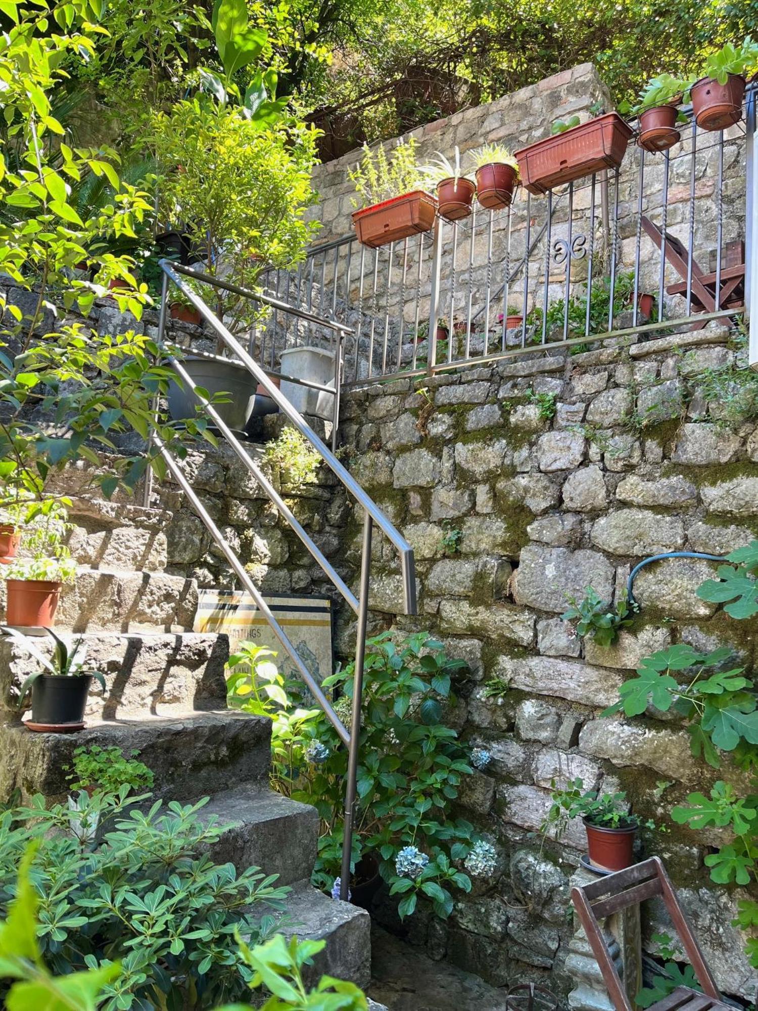 Healthystudio512 Apartments Kotor Buitenkant foto